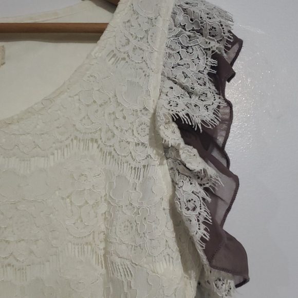 A'reve by Anthropology Crean/Taupe Dress Sz M - Picture 2 of 5